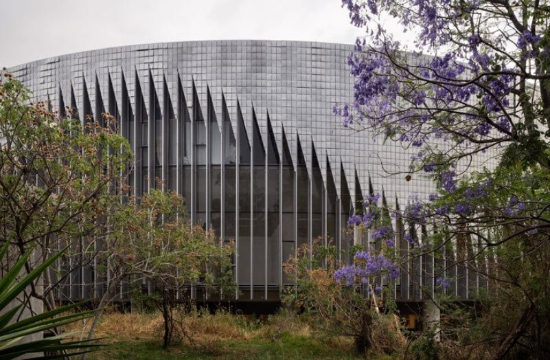 Institute of Biology, Mexico City, Mexico, Mexico